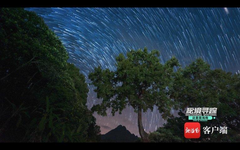 现代战争防御战无敌版