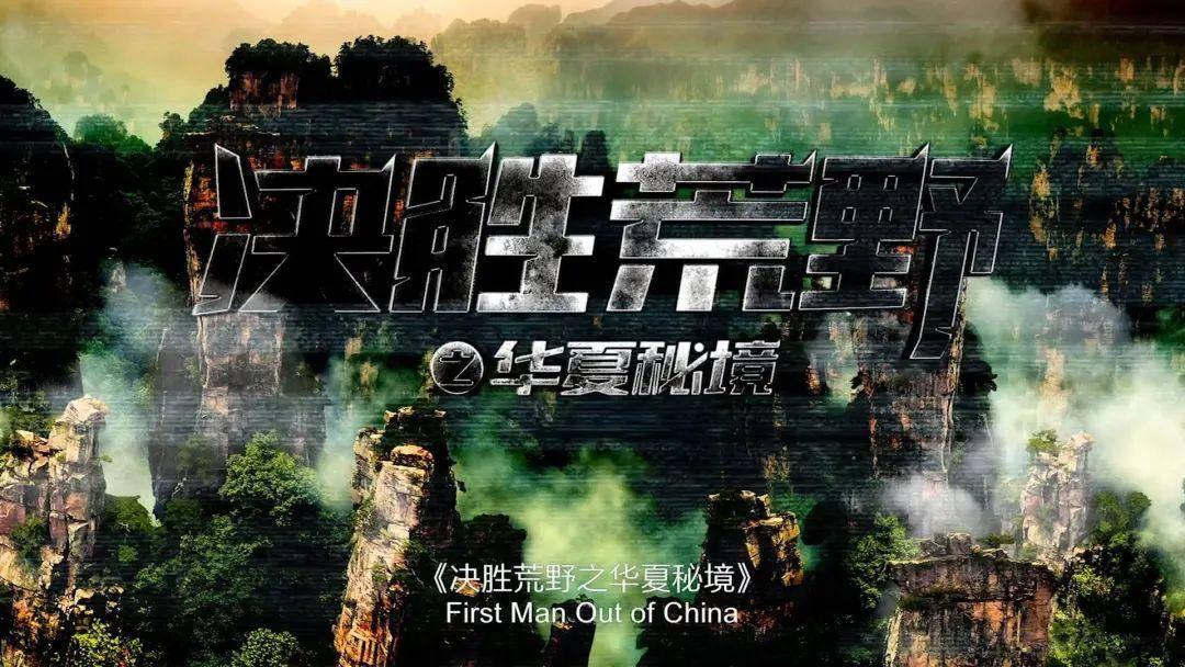 动物帮帮忙保卫家园