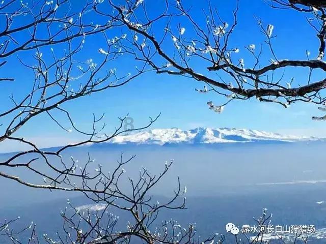 海口三港因雾停运！