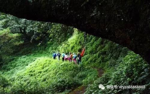 探路新类型著作权保护 增强新业态发展活力