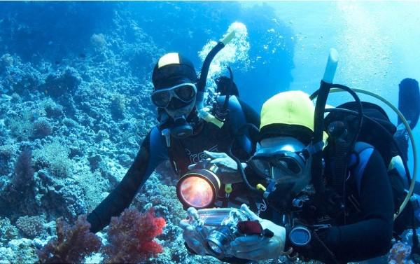 首个草鱼肠道微生物基因目录建成