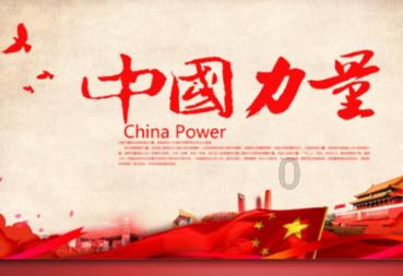 可爱的小考拉