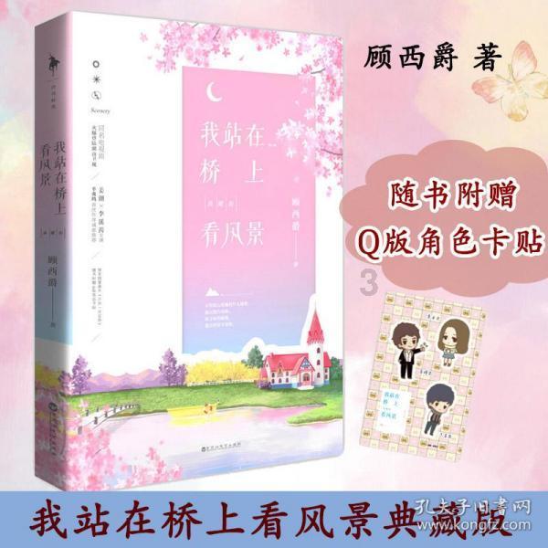 疯狂的小偷