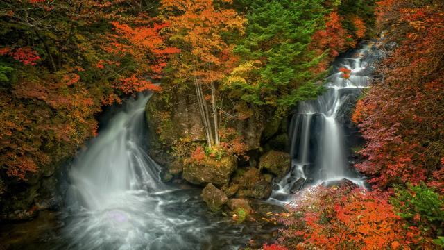 石油骚动