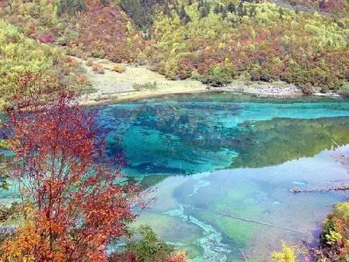 戳泡泡练口算
